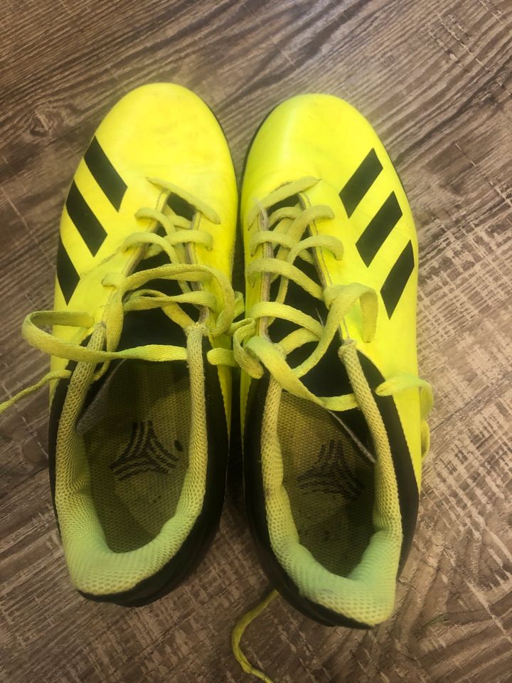 Adidas Fussballschuhe Gr 36,5 in Magdeburg