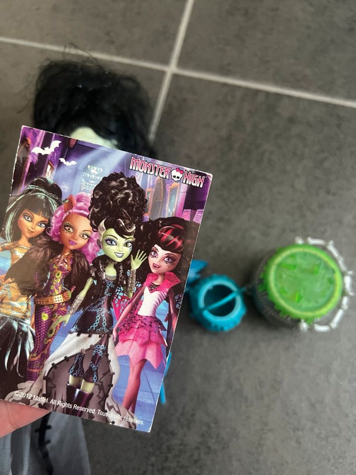 Monster High Frankie Stein Ghouls Rule Sammlerpuppe in Brilon