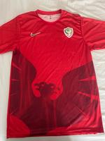 AMED SK Trikot Bayern - Landshut Vorschau