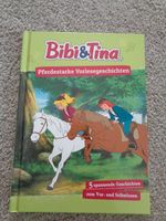Buch Bibi & Tina Pferdestarke 5 spannende Vorlesegeschichten Sachsen - Freital Vorschau