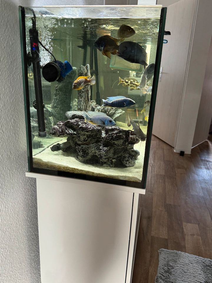 Aquarium mit Zubehör +Fische in Erkner