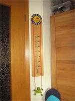 HABA Holzthermometer (104) Sachsen-Anhalt - Zörbig Vorschau