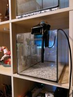 6x 25 Liter Aquarium / Glas Becken / 40x25x25cm Kr. Landshut - Furth Vorschau