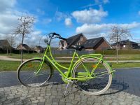 Hollandrad Ortler grün Damenrad Fahrrad Niedersachsen - Harsefeld Vorschau
