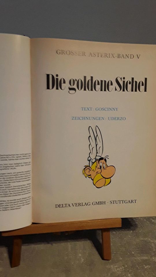 Asterix der Gallier - Ledereinbad / 8 Bücher / verschiedene in Köln