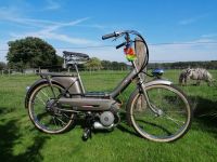 Peugeot BB 1964 RARITÄT Mofa Moped Nordrhein-Westfalen - Bedburg-Hau Vorschau