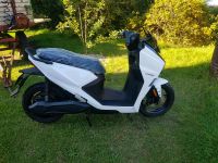 Elektro Roller 50ccm L1e Horwin SK1 comfort Range Niedersachsen - Bergen Vorschau