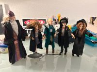 Harry Potter, Hermine Granger, Dumbledore, Hogwarts, Slytherin Hamburg-Nord - Hamburg Winterhude Vorschau