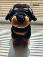 Hermann Teddy Rottweiler Bayern - Wegscheid Vorschau