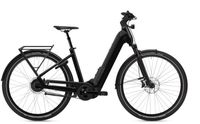 ✅✅FLYER DAMEN E-BIKE UPSTREET 7.23⚡️ 750WH AKKU⚡️ **UVP 5899€* PANASONIC E-BIKE RIEMENANTRIEB 877715, 877761, 877826 Nordrhein-Westfalen - Grevenbroich Vorschau