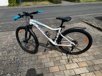 Specialized Damen Mountainbike Jynx / Größe L / 27,5 Zoll Bayern - Marktheidenfeld Vorschau