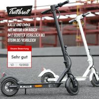 Trittbrett Kalle & Emma | Elektrischer Scooter mit Straßenzulassung | E-Scooter | E-Roller | Kickscooter | Cityroller |  Stadtflitzer Brandenburg - Wustrau Vorschau