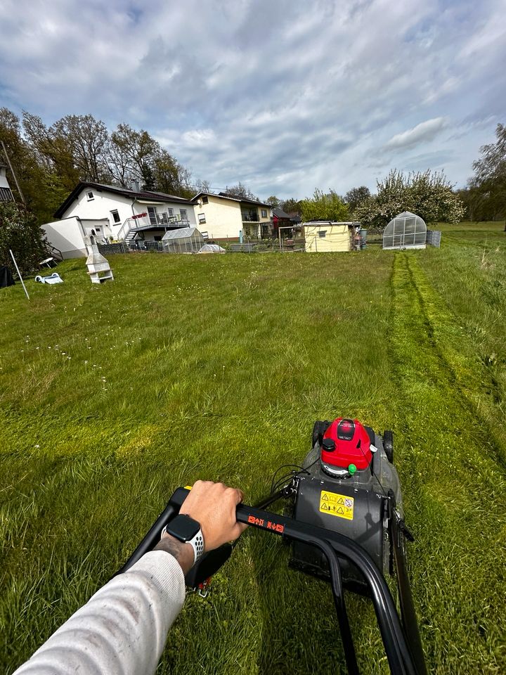 Garten- und Hausmeisterservice Luca Eismann in Michelbach (Westerwald)