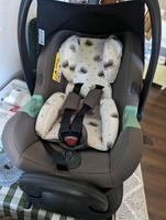 abc design Babyschale Tulip inkl passender Isofix Base Herzogtum Lauenburg - Berkenthin Vorschau