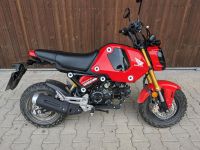 Honda Grom MSX 125 Minimoto Moped Offroad Bayern - Osterhofen Vorschau