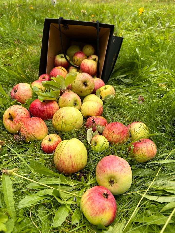 Garten , Garten mit Haus in Winnenden/Breuningsweiler in Winnenden