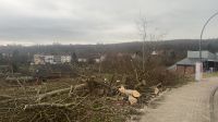 Baugrundstück in besonders schönen ruhigen Lage zu verkaufen Niedersachsen - Salzgitter Vorschau