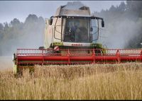 Acker, Ackerfläche, Wald, Wiese, Landwirtschaftliche Fläche Bayern - Metten Vorschau