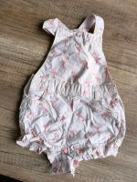 Niedliche Sommeroutfits Gr. 62/68 Kleidungspaket Babybekleidung Brandenburg - Herzfelde Vorschau