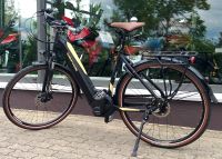 City E-Bike Gepida Bonum Edge 28Z, Rahmenhöhe 49 Sachsen - Frankenberg (Sa.) Vorschau