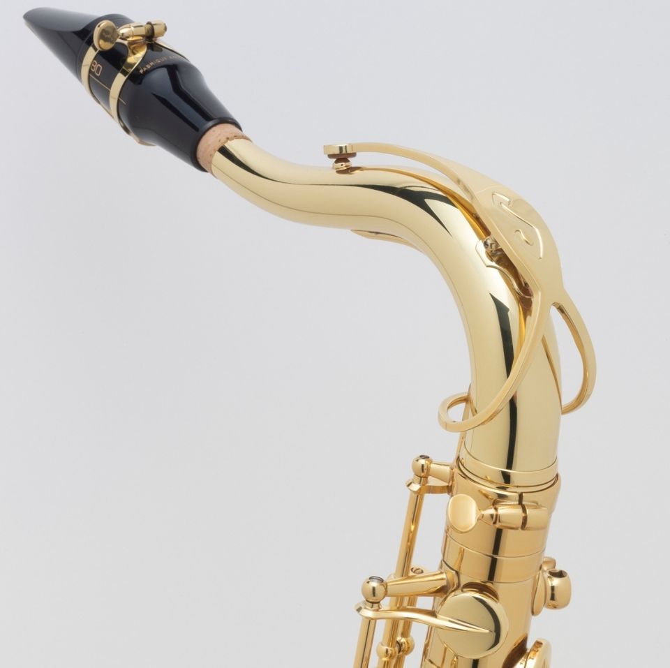 Henri Selmer Paris "Axos" Es - Altsaxophon %%%%%% NEUWARE %%%%%%% in Hagenburg