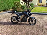 Motorrad Suzuki GSX-S125 Sachsen - Bad Dueben Vorschau