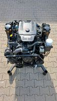 Mercruiser 5.0 MPI V8 innenbord Motor engine Kr. München - Taufkirchen Vorschau