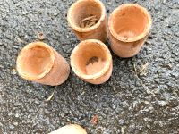 Pflanzgefäße Kakteen mini Aufzucht Niedersachsen - Gleichen Vorschau
