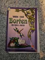 Windows colour Borren vielseidig Verlag Niedersachsen - Hermannsburg Vorschau