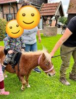 Kinderreiten Kindergeburtstag Ponyreiten Eltern-Kind-Reiten Nordrhein-Westfalen - Coesfeld Vorschau