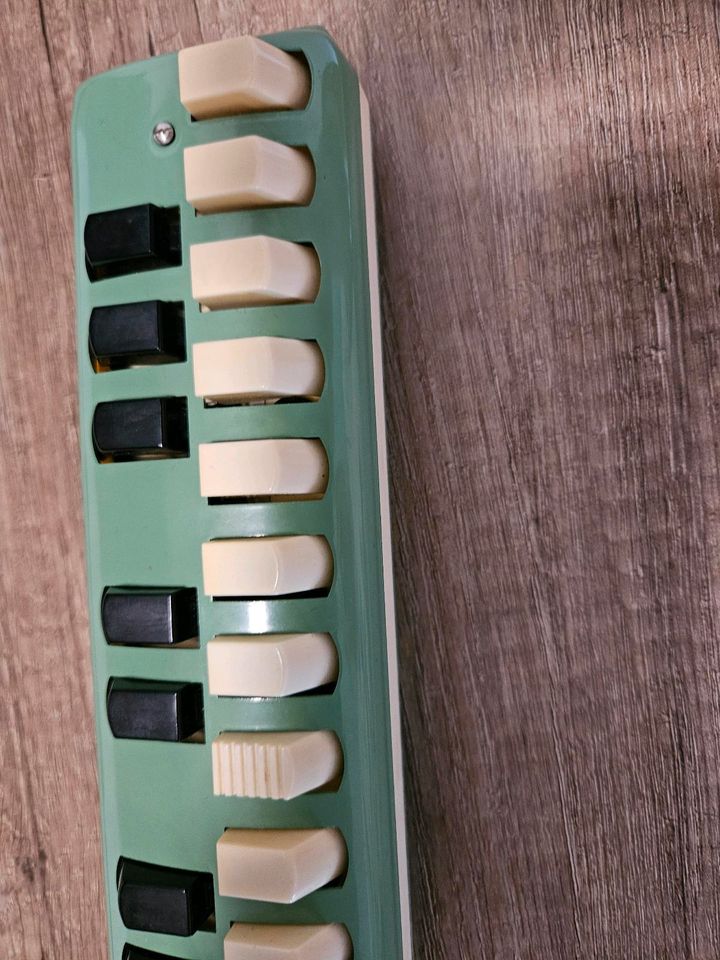 Hohner melodica-soprano in Herten