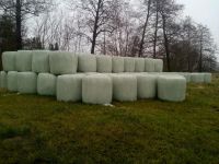 Rundballen Silage,heulage, Niedersachsen - Wingst Vorschau