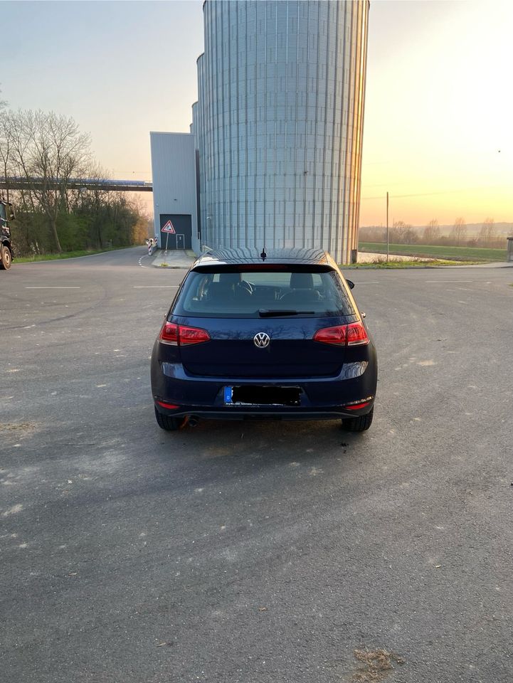 VW Golf 7 1,6l in Uchte