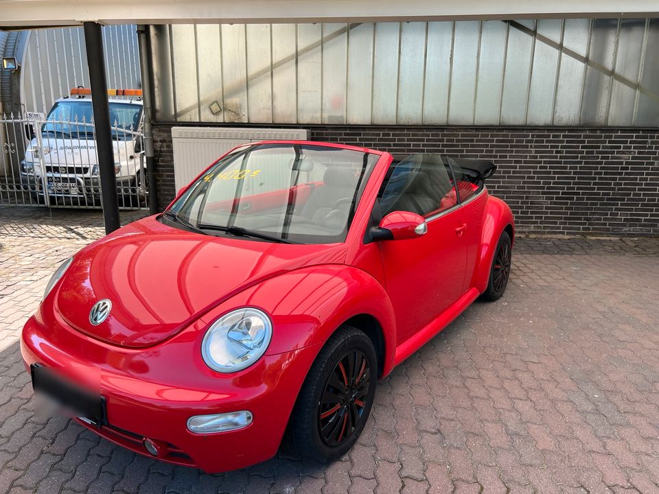 VW New Beetle Cabrio in Uedem