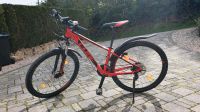 CUBE Mountainbike Rheinland-Pfalz - Birresborn Vorschau