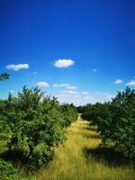 Yogaretreat - Heilkraft der Harmonie Ludwigslust - Landkreis - Ludwigslust Vorschau