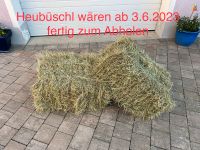 Heubüschl , Hasen, Kaninchenheu, Pferdeheu Heuballen. Bayern - Schnaittenbach Vorschau