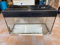 Aquarium Terrarium B80xH45xT35  126 Liter Rheinland-Pfalz - Emmelshausen Vorschau