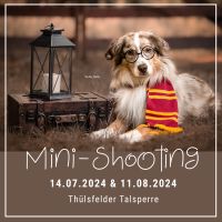 Hunde-Fotoshooting Aktion „ZAUBEREI“ Fotos Tierfotografie Niedersachsen - Garrel Vorschau