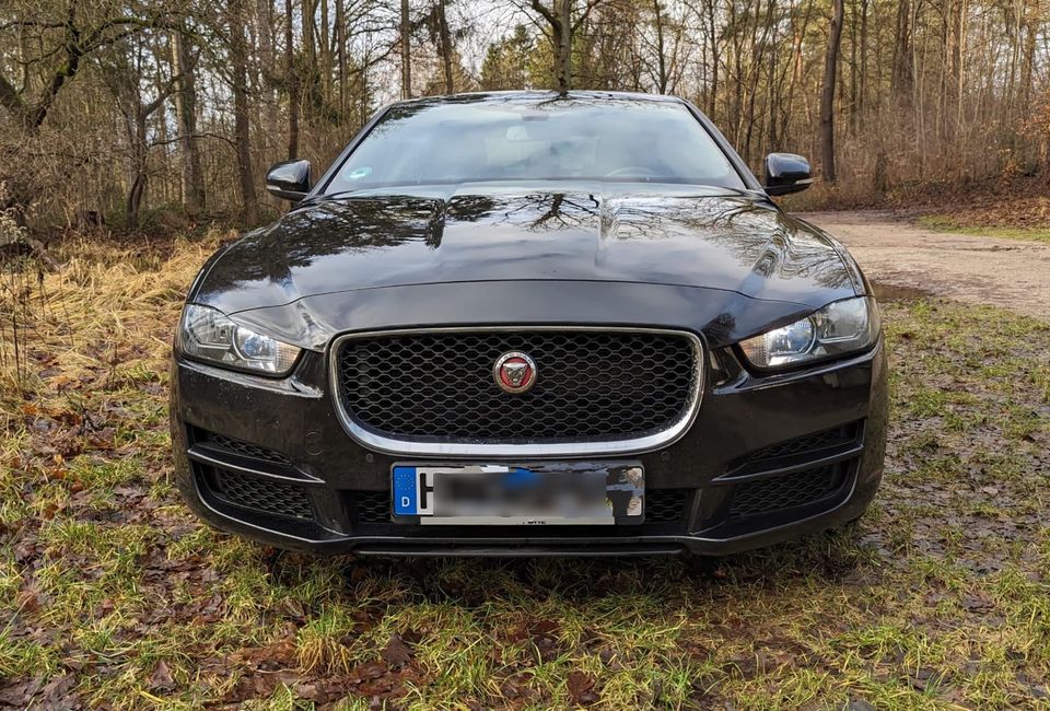 Jaguar XE 20d Automatik in Paderborn