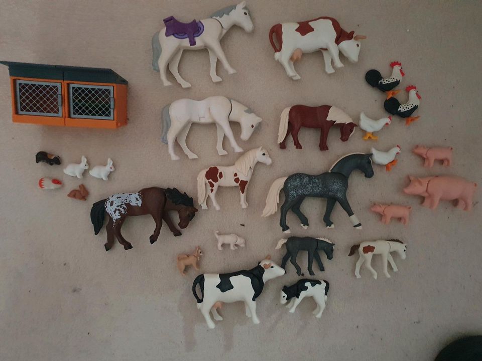 Playmobil Tiere Pferde, Schweine usw. in Lollar