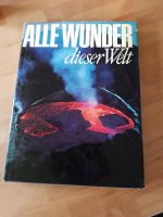 Alle Wunder dieser Welt Buch Rheinland-Pfalz - Kruft Vorschau