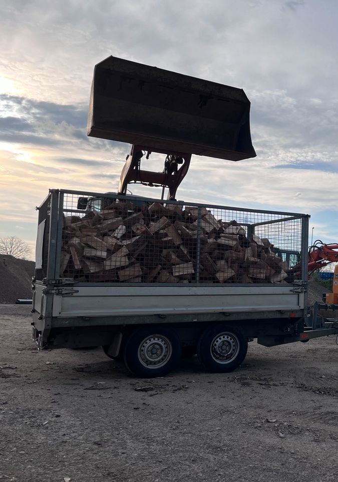 Brennholz, Kaminholz, Holz, Buche in Braunschweig