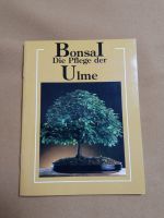 <bonsai, Die Pflege der Ulme Baden-Württemberg - Au Vorschau