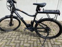 Haibike E-Mountainbike Sduro Hardnine 6.0 2019L 29 Zoll, 11 Gänge Baden-Württemberg - Mundelsheim Vorschau