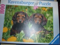 Puzzle Ravensburger 1000 Dackelwelpen Baden-Württemberg - Albbruck Vorschau