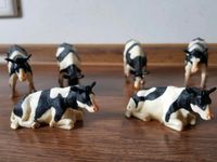 KidsGlobe, Kühe schwarz-weiß, 6 Stück, M 1:32 Nordrhein-Westfalen - Schmallenberg Vorschau