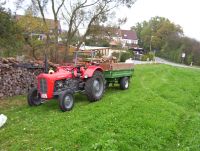 Massey Ferguson Fe  35+Anhänger Bayern - Kulmbach Vorschau