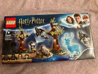 Lego Harry Potter 75945 inkl Karton und Anleitung Nordrhein-Westfalen - Windeck Vorschau