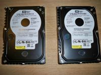 Festplatten WD Raptor 74GB SATA 3,5 - 16MB Cache Top Berlin - Wilmersdorf Vorschau